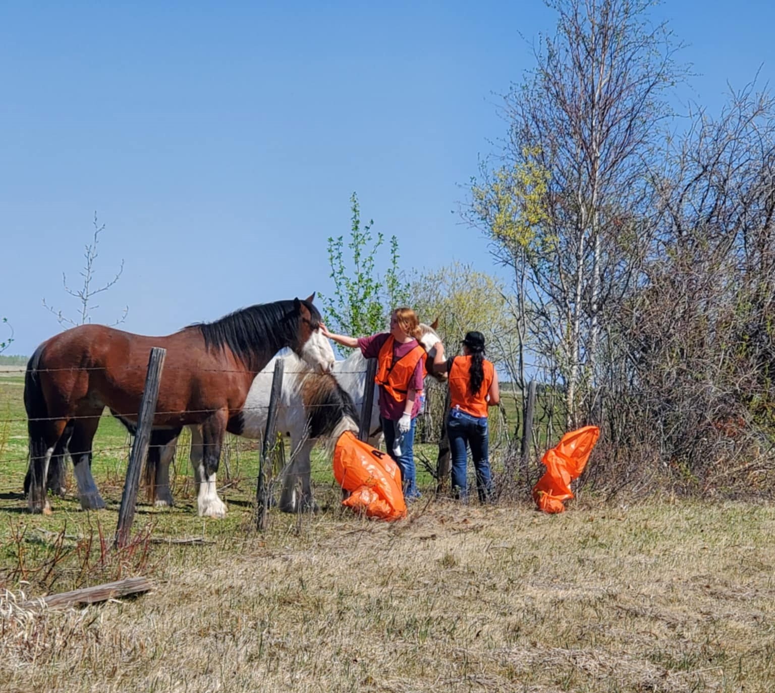 Bamfield Highway cleanup Mia and Alexis